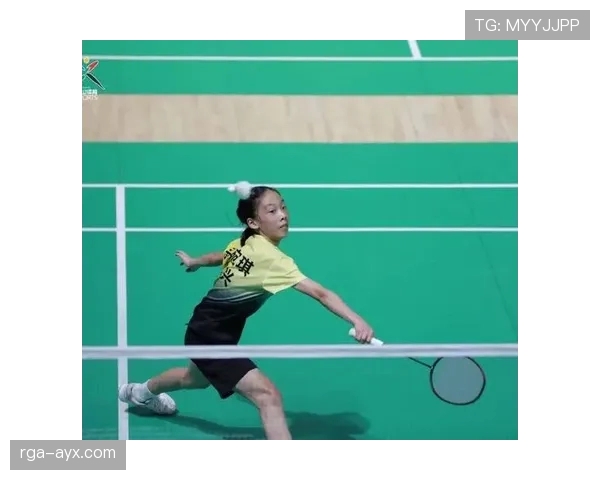 王晓理2013年世锦赛摘金，中国羽球再添荣耀